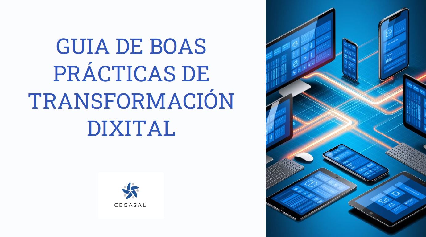 Guía de Boas Prácticas de Transformación Dixital