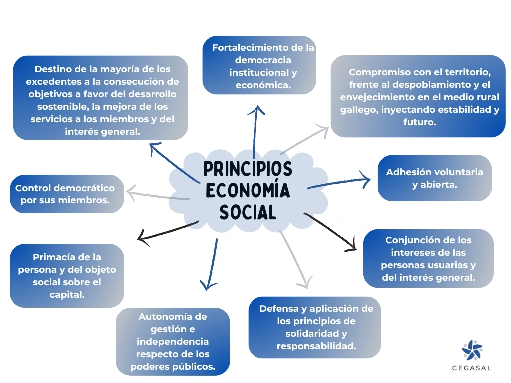 Economía social